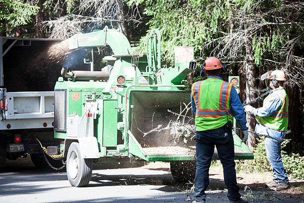 Lawn Watering Services in West Loch Estate, HI